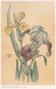 虹彩 作： Ludwig Willem Reymert Wenckebach
