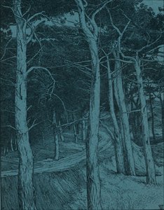 ウッドランド、c1912 作： Willem Wenckebach