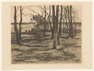 Valkeveen のウォーター フロントの木々 作： Willem Arnoldus Witsen