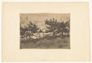 丘の上の木々 作： Willem Arnoldus Witsen