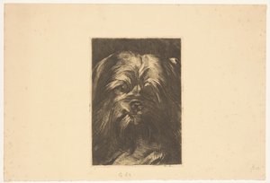 犬フィーバス 作： Willem Arnoldus Witsen