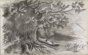 レーネンの大木のある風景 作： Willem Arnoldus Witsen