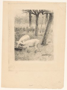 トラフで 2 匹の豚 作： Willem Arnoldus Witsen