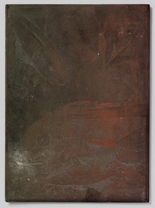 水族館の魚 作： Willem Arnoldus Witsen