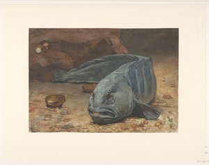 水槽の底にいるオオカミ 作： Willem Arnoldus Witsen