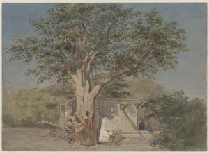 カイロの木の下の小屋