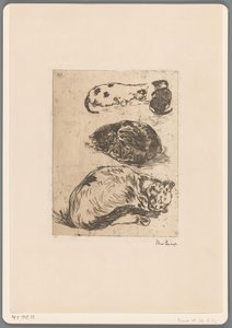 猫の研究（原題） 作： Willem de Zwart (signed by artist)