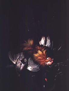 不明な画像 作： Willem van Aelst