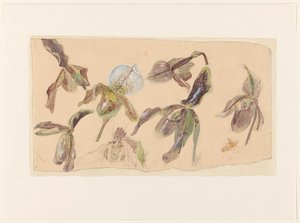 ランの7つの研究 作： Willem van Konijnenburg