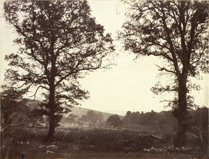 ニレの木のある風景、アシュダウン、英国 作： William 2nd Earl of Craven
