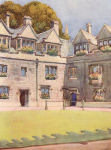 背景はヘーバーの木として知られる有名なトチノキ（カラーリトグラフ）。 作： William Ainsworth Wildman