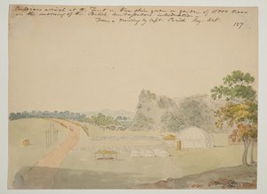 WD 961 f.157