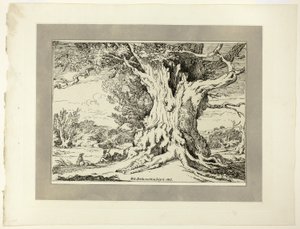 ポリオートグラフィーの標本の創刊号より、大きな木の下で休む男と犬 作： William Alfred Delamotte