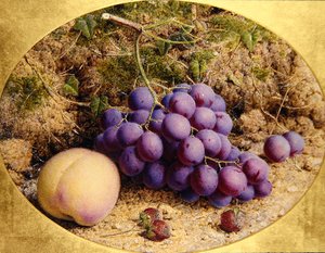 苔むす土手に葡萄と桃（水彩・紙）
