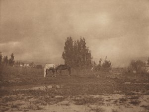 パサデナの風景 作： William B. Post