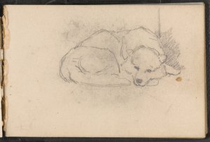 1879年頃の眠っている犬のスケッチ 作： William Barnes Wollen