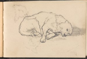 1879年頃の眠っている犬のスケッチ 作： William Barnes Wollen