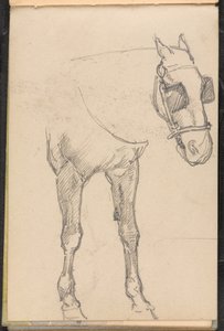 1879年頃のウインカー付き馬のスケッチ