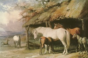 馬と子馬、19世紀 作： William Barraud