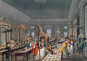 芸術家によってエッチングされたピカデリーのエジプトホールの内部、c.1815-25（アクアチント） 作： William Benjamin Sarsfield Taylor