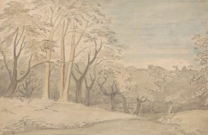 森の風景 作： William Blake