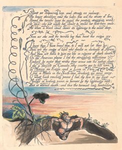 アメリカ。予言、プレート4、絶望的な愛として沈黙.... 作： William Blake