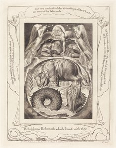 ベヒーモスとリヴァイアサン 作： William Blake