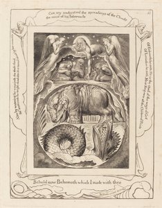 ベヒーモスとリヴァイアサン 作： William Blake