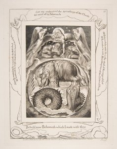 ベヒーモスとリヴァイアサン、1825-26年の「職業の書」のイラストより。 作： William Blake