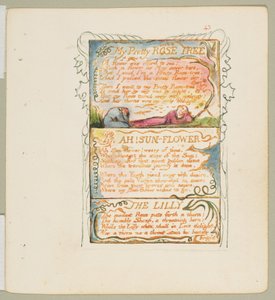 無邪気さと経験の歌。My Pretty Rose Tree, Ah! Sun-Flower, The Lily, ca. 1825.