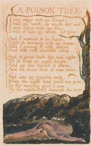 無垢と経験の歌、プレート41、毒の木（ベントレー49） 作： William Blake