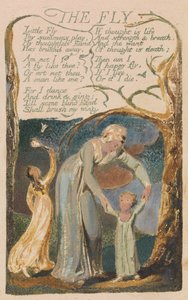 イノセンスとエクスペリエンスの歌、プレート48、ザ・フライ（ベントレー40） 作： William Blake
