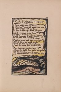 無垢と経験の歌、プレート50、毒の木（ベントレー49） 作： William Blake