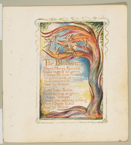 無邪気さと経験の歌。ザ・ブロッサムメリー・メリー・スパロウ（1825年頃 作： William Blake