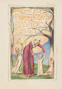 イノセンスとエクスペリエンスの歌：The Fly、ca. 1825年。 作： William Blake