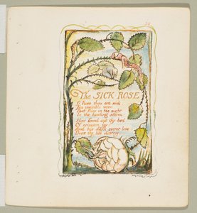 無邪気さと経験の歌。病気の薔薇』1825年頃。 作： William Blake