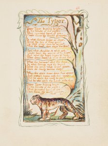 イノセンスとエクスペリエンスの歌：タイガー、c.1825（水彩で手塗りの茶色のインクエッチング） 作： William Blake