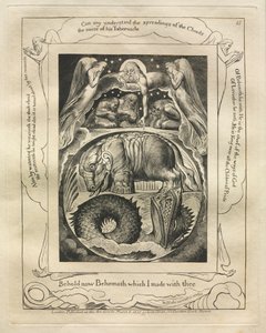 ヨブ記: Pl. 15、今見よ、私があなたと作ったベヒモス 作： William Blake