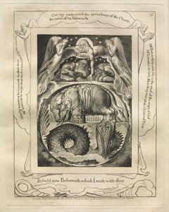 職業書：Pl。 15、1825年に私があなたと共に作ったビヒモスを見よ。 作： William Blake