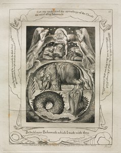 職業書：Pl。 15、1825年に私があなたと共に作ったビヒモスを見よ。 作： William Blake