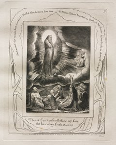 職業書：Pl。 9、その後、霊が私の顔の前を通り、私の肉の毛が立った、1825。 作： William Blake