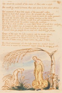 テルの書、プレート4、なぜ愛人がすべきなのか。 。 。 。 作： William Blake