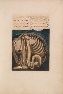 ウリゼンの最初の本、プレート12、驚愕のロス・スミット....（ベントレー8） 作： William Blake