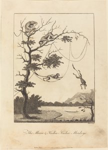 メクー＆キスビー・キッシー・モンキーズ、1793年。 作： William Blake