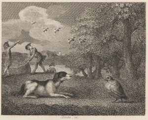 設定犬とヤマウズラ 作： William Blake