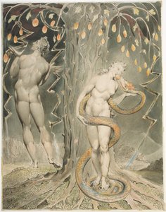 作： William Blake