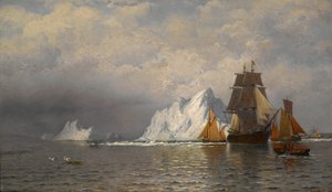  作： William Bradford
