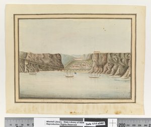 p.299をご覧ください。ジェームス・ヴァレー・セント・ヘレナ1792」1802年頃（水彩画 作： William Bradley