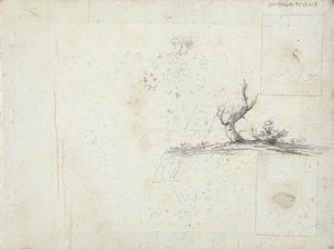表紙裏：木のスケッチ（反転） 作： William Brockedon