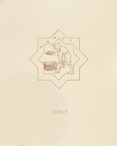 ワカサギ、1878